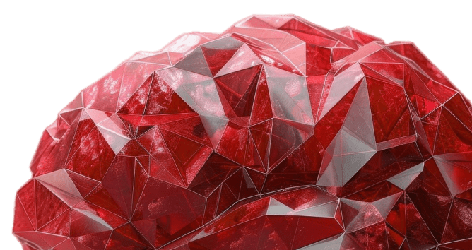 human-brain-poly-brain 2-min